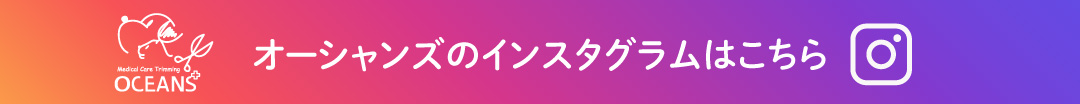 インスタグラムはこちら